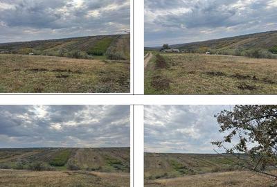 Teren extravilan Perieni, cota parte 6/16 , ID: R2822105 - 4