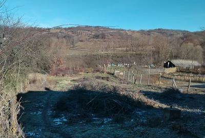 Spațiu comercial, în Ciofrângeni - 5