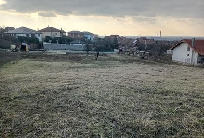 Spațiu comercial, în Cauaceu - 4