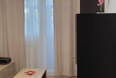 Lacul Tei, Maica Domnului, Domino, Parcul Circului - 4