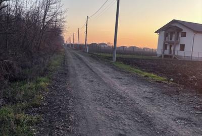 Spațiu comercial, în Bolintin-Deal - 4