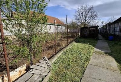 Casă individuală cu 3 camere cu Teren 1826 Mp în Sânandrei - 2