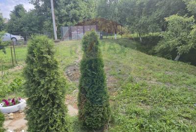 Casă cu 3 camere cu Teren 1268 Mp în Săpânța - 16