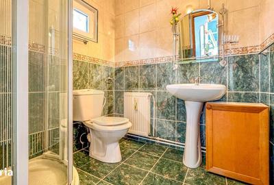 Casă cu 4 camere în Țintea - 3