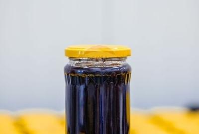 Plantatie de afine la cele mai inalte standarde, de vanzare! - 5