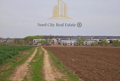 Teren Tunari - Loturi Tunari- 12.000 mp - 3