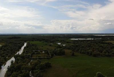 Teren de 11862 mp, în Vulturu - 9