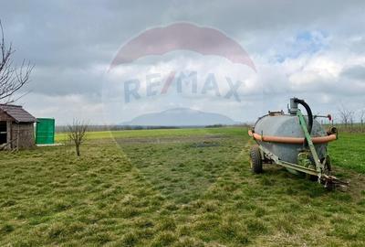 Teren agricol extravilan de 60000 mp, în Săcele - 5