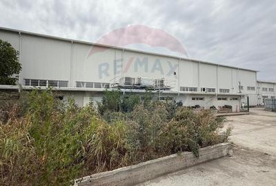 Spatiu industrial Braila - 1