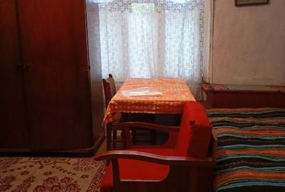 Casă bătrânească deosebită Păltiniș, Botoșani - 3