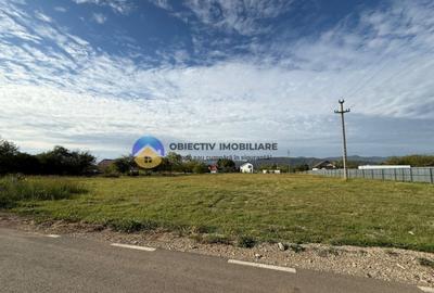 Teren de vanzare 1800 mp Dumbrava Ro?ie - 1