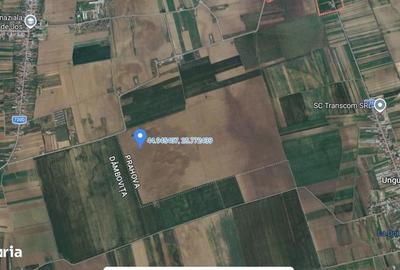 Teren de 5000 mp, în Filipeștii de Târg - 2