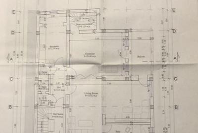 Cotroceni Arenele BNR Mihail Mirinescu Vila pentru birou sau rezidenta Cotroceni Arenele BNR Mihail Mirinescu Vila pentru birou sau rezidenta - 5