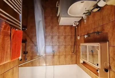 Casă cu 2 camere în Terezian - 4