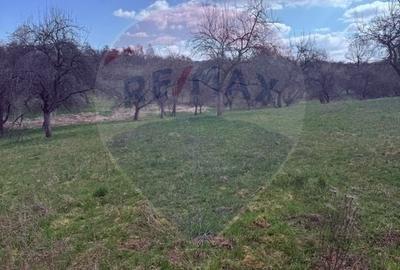 Teren Construcții de 6377 mp, în Hărnicești - 5