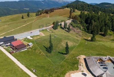 Teren 56599mp Dambovicioara / Soseaua DN 73Dealul sasului! - 11