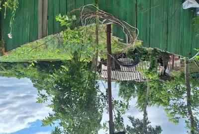 Casă cu 3 camere în Tanacu - 6