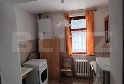 Casa de vacanta cocheta in Sovata Bai - 12