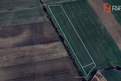 Teren Construcții intravilan de 611 mp, în Săcălaz - 3