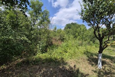 Teren de inchiriat – Voluntari, Strada Popasului - 6