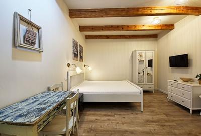 Casa 2 apartamente, ultrafinisate,mobilate la cheie, Horea zona Urania - 14