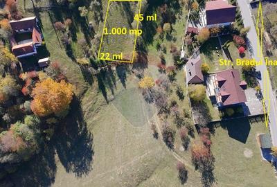 Teren de Vis in Bran - 1000mp Plat, Liniste Absoluta si Aer Curat - 3