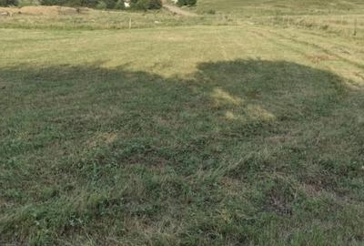 Teren extravilan 2000 mp,spre vanzare- Rusciori-5km  -Autostrada - 1