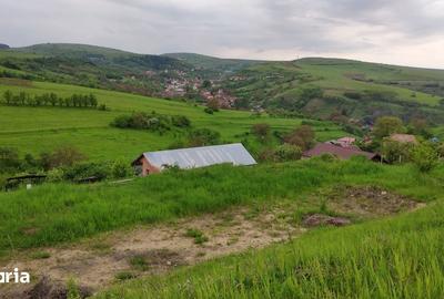 Teren de 2506 mp, în Baciu