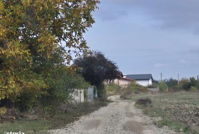 Spațiu comercial, în Balotești - 4