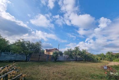 Spațiu comercial, în Viile Satu Mare - 6