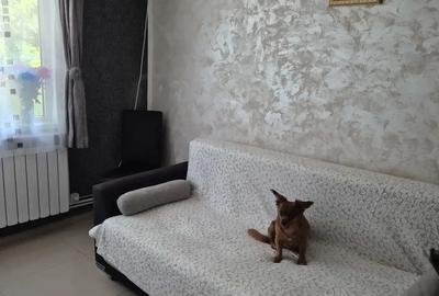 Vand garsonieta Vand garsonieta - 5