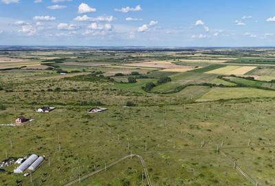 Teren Construcții intravilan de 665 mp, în Moșnița Nouă - 5