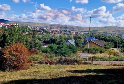 Teren 1,000mp Piatra-Neamt / Strada Pietrelor - 1