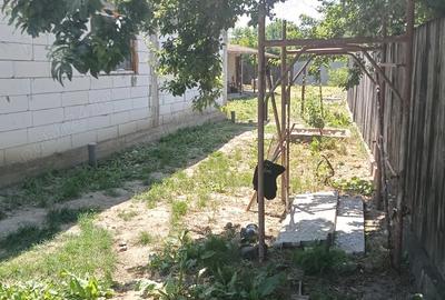 Casă cu 2 camere în Lipănești - 5