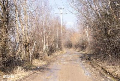 Spațiu comercial, în Bran - 12