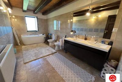 Casa cu teren 4.6 hectare la 17 km de Targu Mures - 3