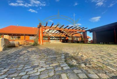 Casă cu 9 camere cu Piscina în Grădiștea - 4