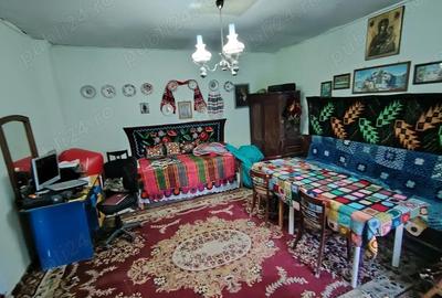 Casă cu 6 camere cu Teren 6000 Mp în Diviciorii Mici - 8