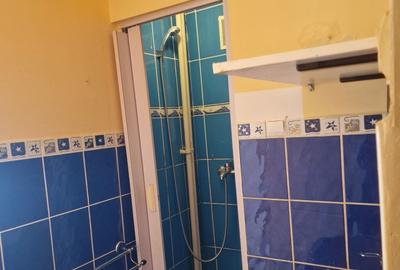 Garsonieră nedecomandată în Rogerius - 3