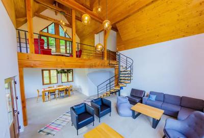 Casă cu 7 camere cu Teren 6370 Mp în Groși - 8