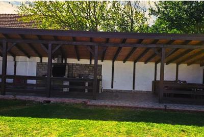 Casă individuală cu 5 camere cu Teren 1000 Mp în Peșteana - 7