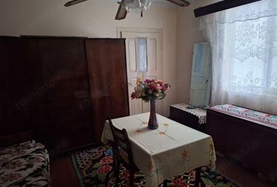 Vand casa de caramida - 4