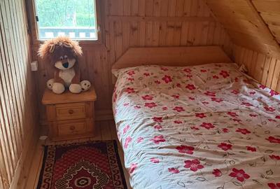 Inchiriez casa Rucar Bran - 6