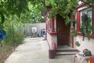 Casa  2 camere Voluntari - 10