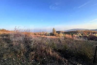 Teren de 5300 mp, în Râmeț - 2