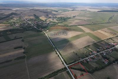 Teren intravilan 4,215mp Tes / comuna Brestovat - 3