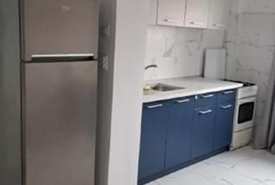 Apartament cu 2 camere semidecomandat, mobilat în Tineretului - 4