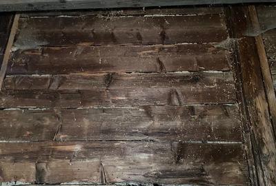 Casă în Cacica - 1