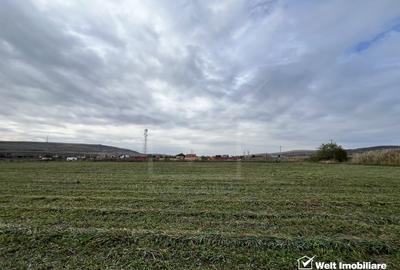 Teren 26.000mp, halta Rascruci drum european E576, jud. Cluj - 2