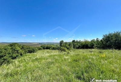 Oportunitate investitie, Chinteni, zona Macicas 31.600 MP - 3